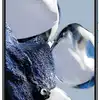 Thumbnail for Xiaomi 12T Pro 1