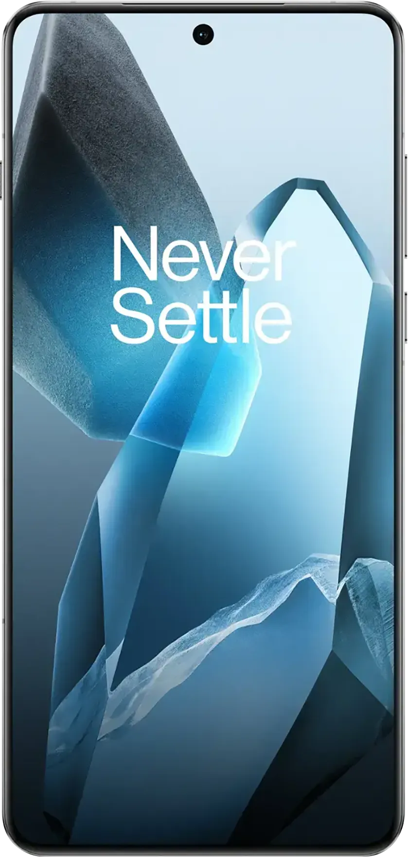 OnePlus 13
